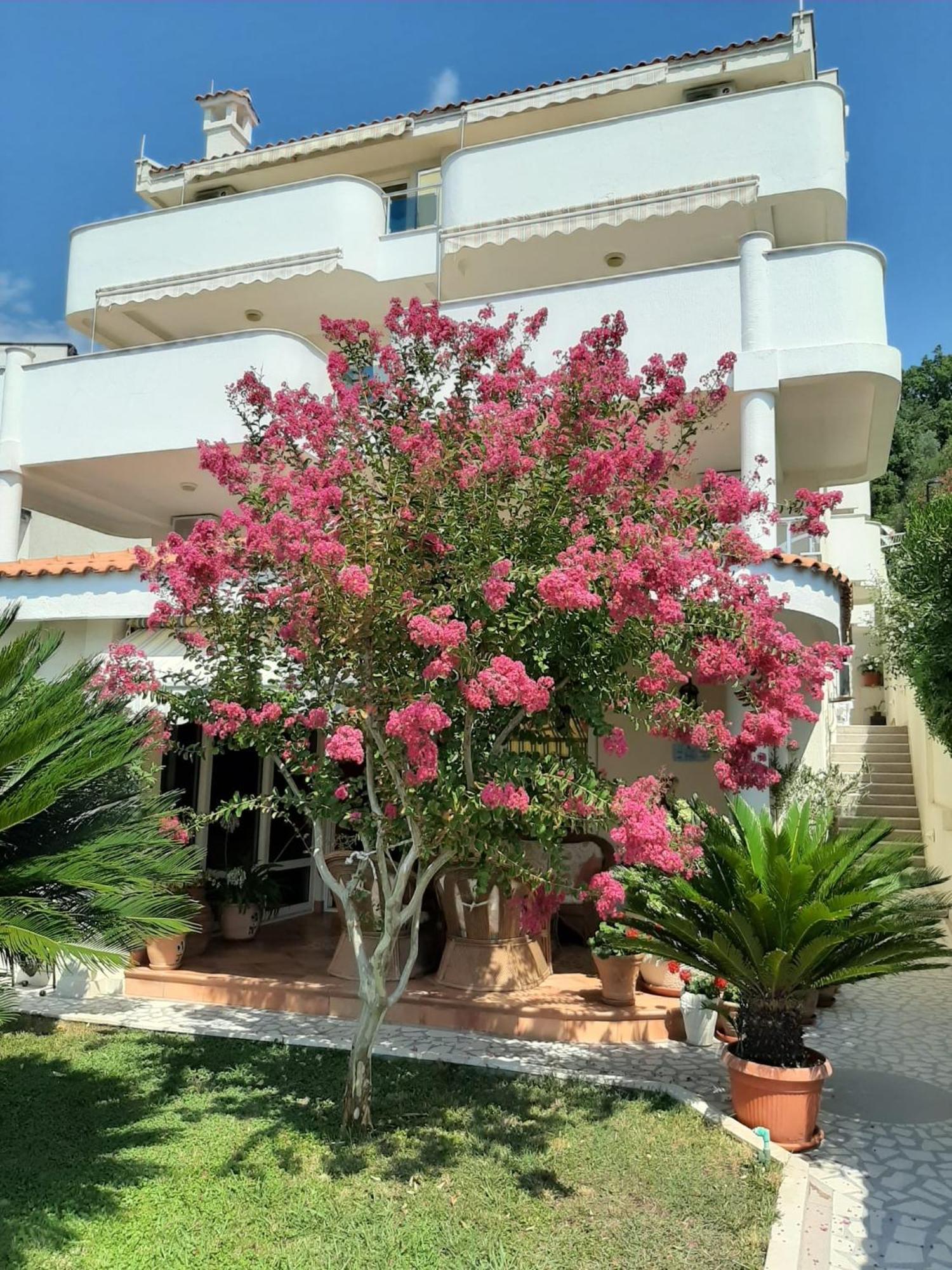 Apartments Villa Mare Mar Sutomore Dış mekan fotoğraf